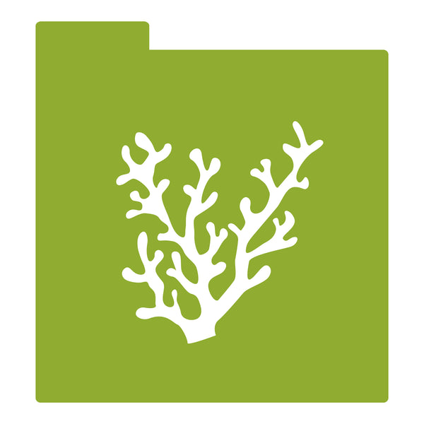 Stencil - Alga