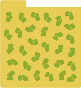 Stencil - Calcetines