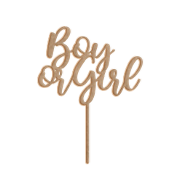 Cake Topper - Boy or Girl